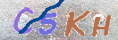 キャプチャイメージ
