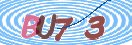 キャプチャイメージ