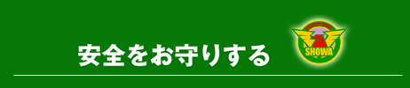 S肷
